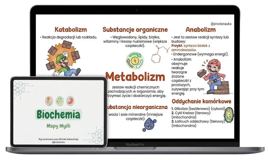 Kolorowe mapy myśli z biochemii